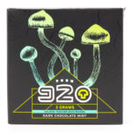 Room 920 - Mushroom Chocolate Bar - Dark Chocolate Mint - 3 grams | Buy Dmt Canada