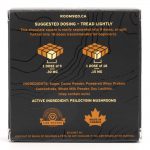 Room 920 – Mushroom Chocolate Bar - Dark Chocolate - 3 Grams | Buy Dmt Canada