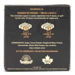 Room 920 – Mushroom Chocolate Bar - Milk Chocolate - 3 Grams | Buy Dmt Canada