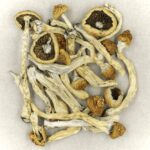 Texas Yellow Cap | Buy Dmt Canada