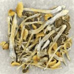 Trinity | Buy Dmt Canada