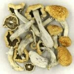 Vietnamese | Buy Dmt Canada