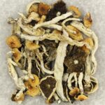 Cuban | Buy Dmt Canada