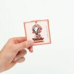 Wonder – Psilocybin Chocolate Bar – Blood Orange | Buy Dmt Canada