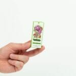 Wonder – Psilocybin Chocolate Bar – Dark Chocolate | Buy Dmt Canada