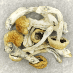 Chitwan Nepal | Buy Dmt Canada