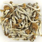 Florida White | Buy Dmt Canada