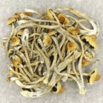 Hautla | Buy Dmt Canada