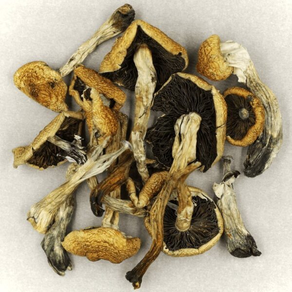 Malabar | Buy Dmt Canada