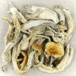 Treasure Coast | Buy Dmt Canada