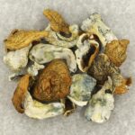King Kong | Buy Dmt Canada