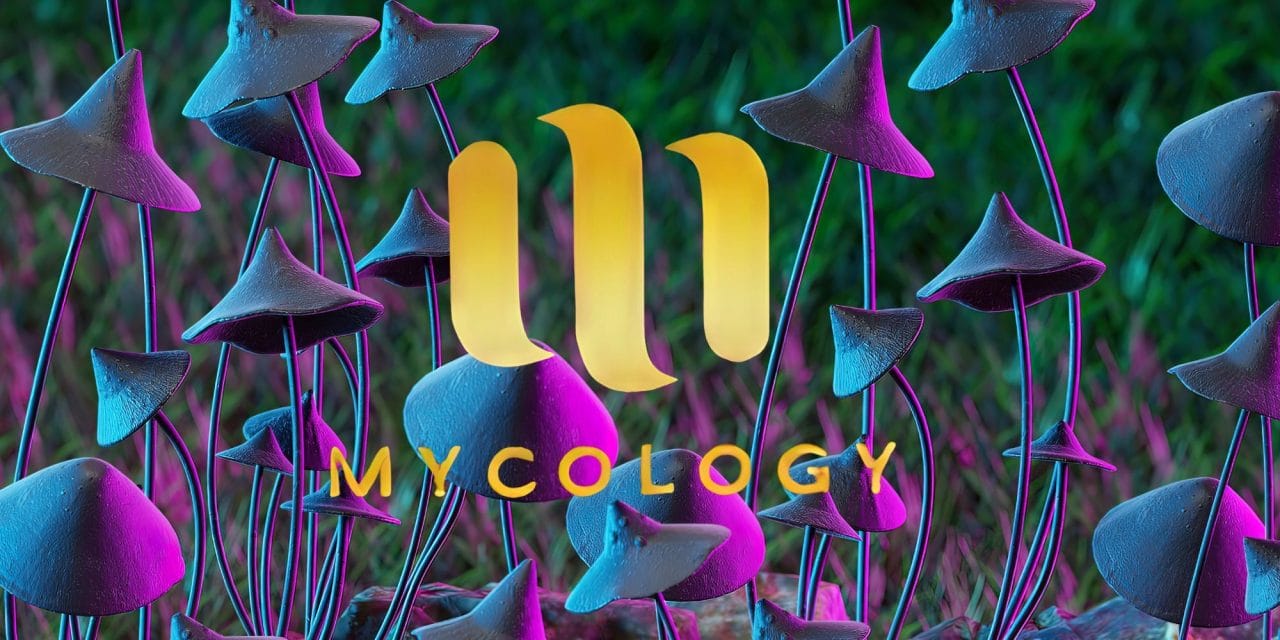 Zoomies Summer 2023 Banner - Mycology | Buy Dmt Canada