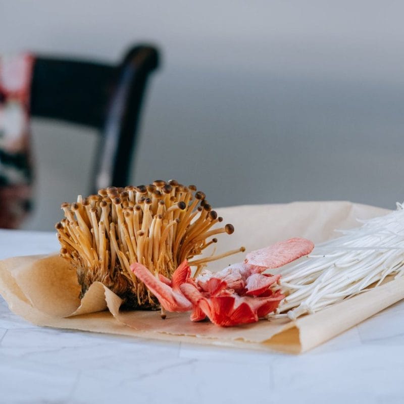 Buy Shrooms Online Canada (1) | Buy Dmt Canada