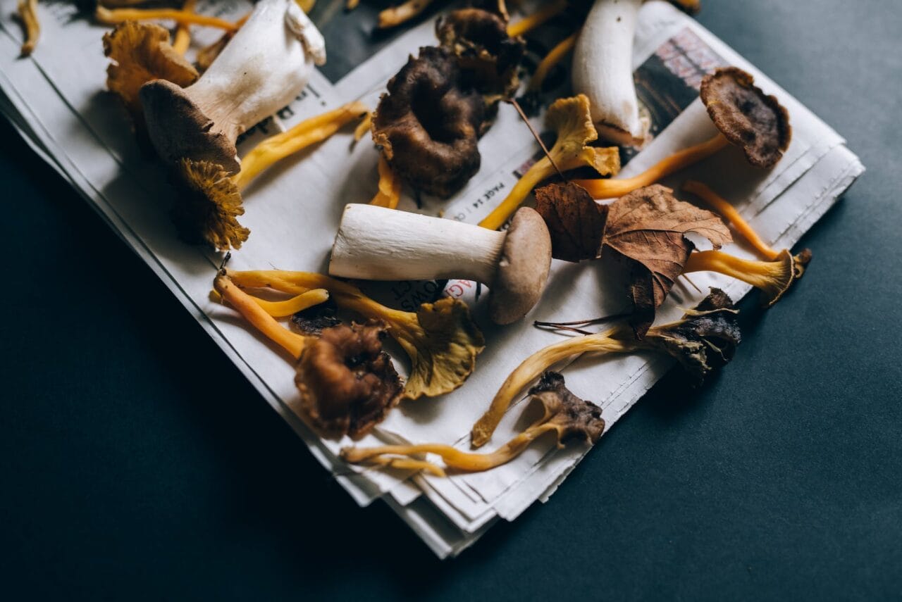 Are Mushrooms and Chocolate a Good Match?