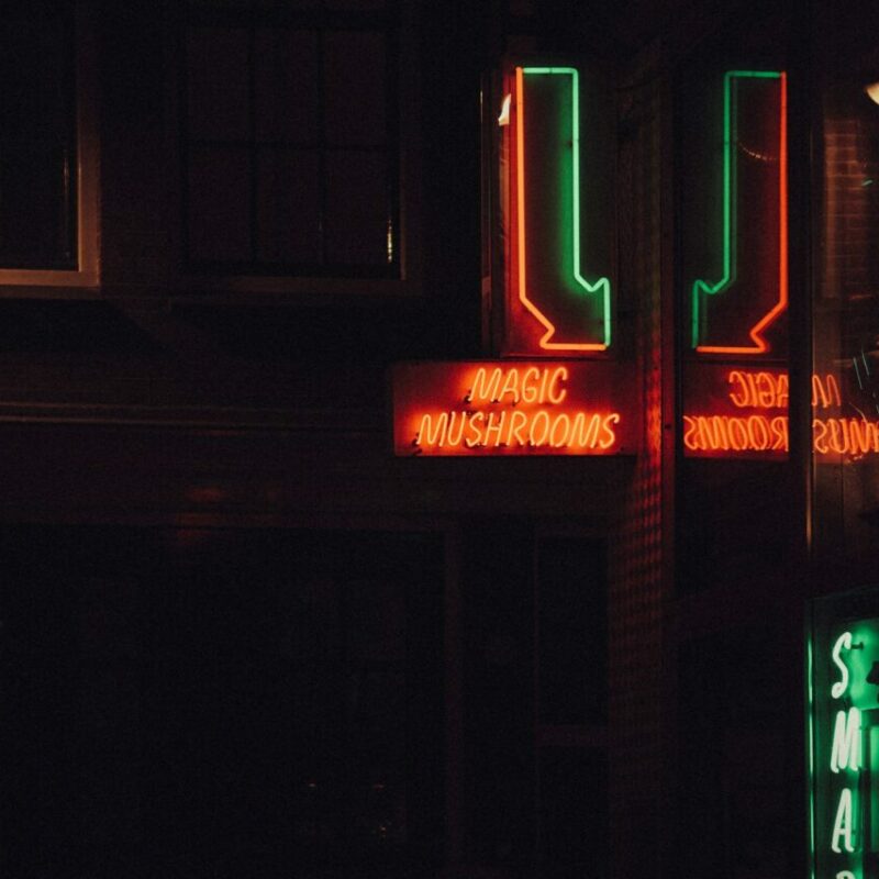 Mushroom Dispensary Vancouver | Buy Dmt Canada