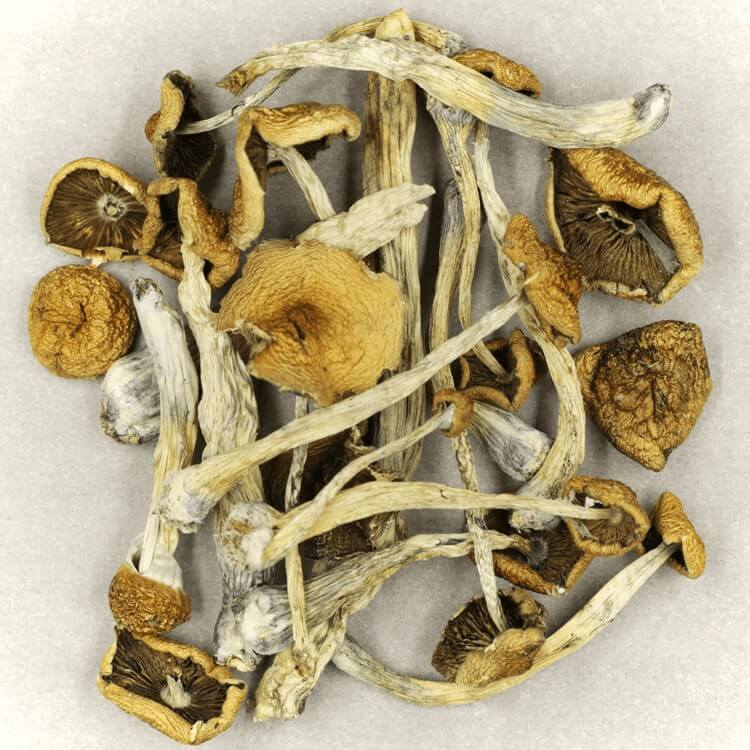  | Buy Dmt Canada